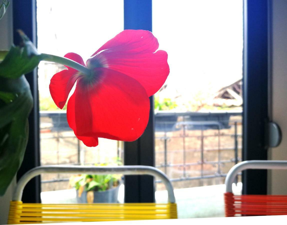 Semedaki, A Modern Appartment In The Centre Of History Athènes Extérieur photo